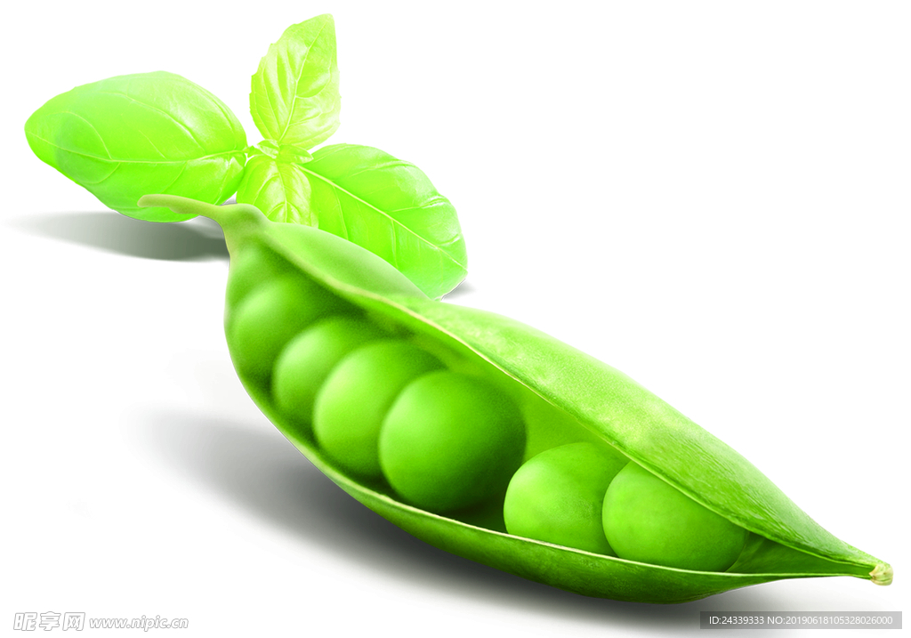 绿色豆角 豆粒