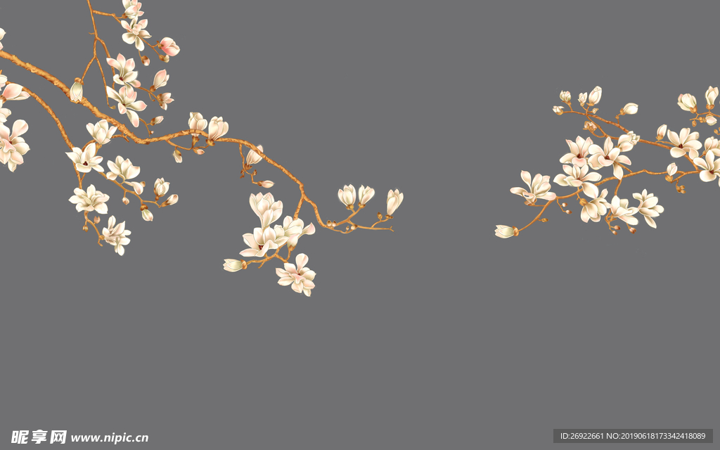 玉兰花 背景墙 花鸟 手绘花鸟