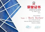 简约大气通用荣誉证书资格证书设