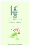 夏至