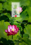 夏至海报