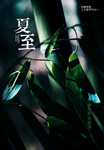 夏至节气海报