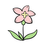 小花