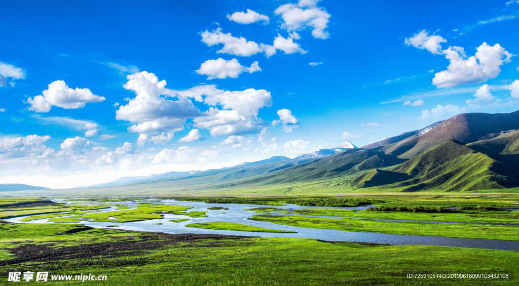 美丽草原的夏季风景