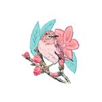鸟儿