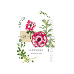 花花