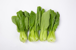 青菜