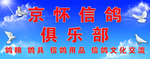 信鸽俱乐部海报