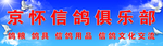 信鸽俱乐部海报