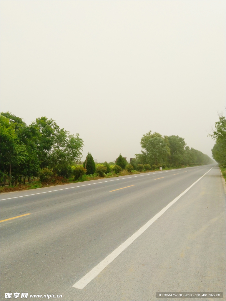 乡村道路风景