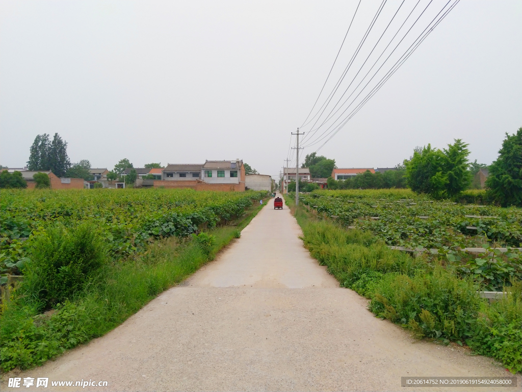 乡村道路风景