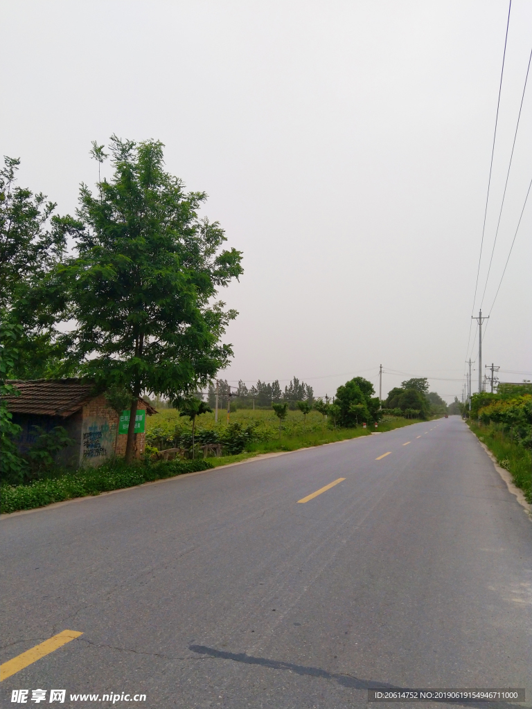 乡村道路风景