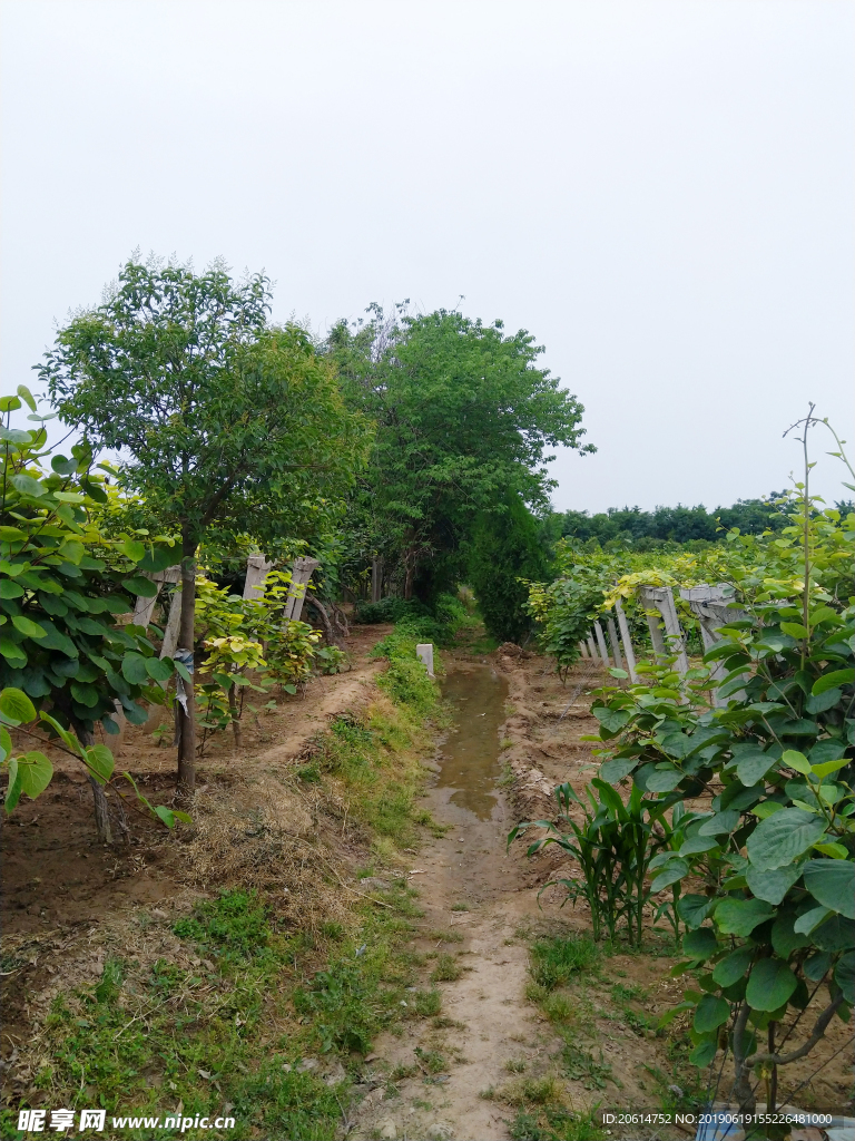 乡村田园风景