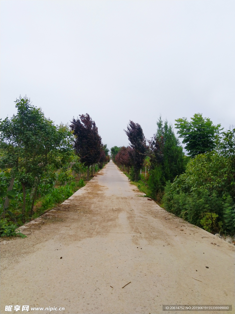 乡村道路风景