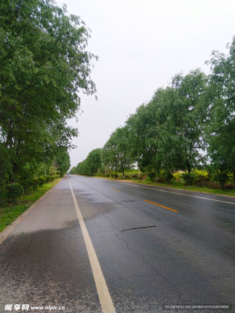 乡村道路风景