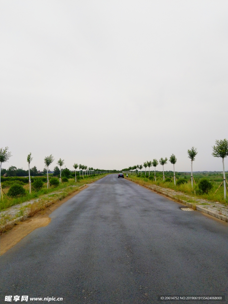 乡村道路美景