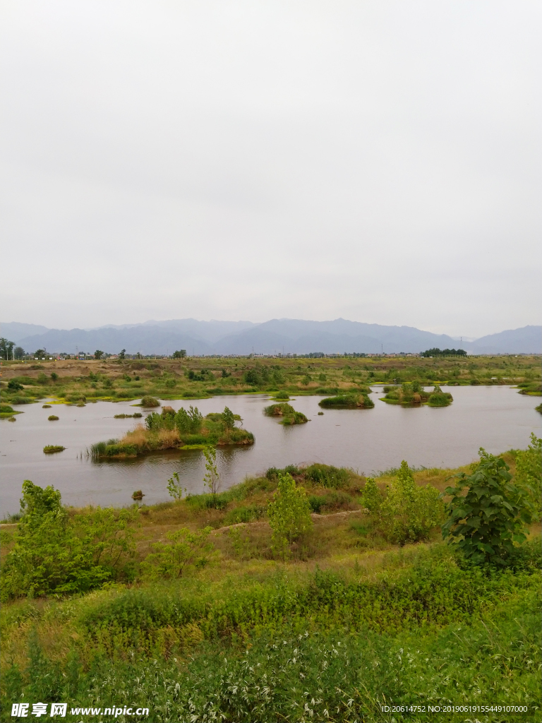 乡村河道风景