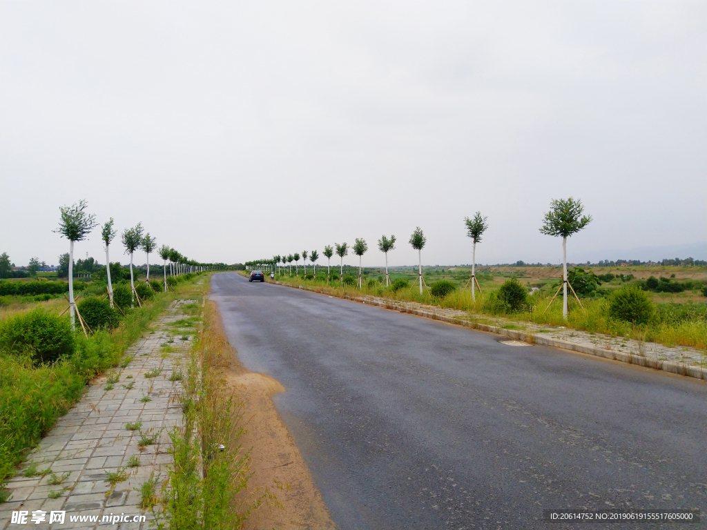 乡村道路风景