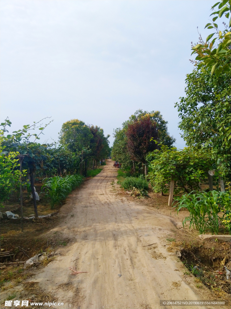 乡村道路美景