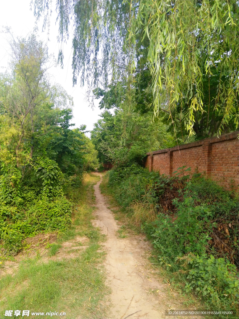 乡村道路美景