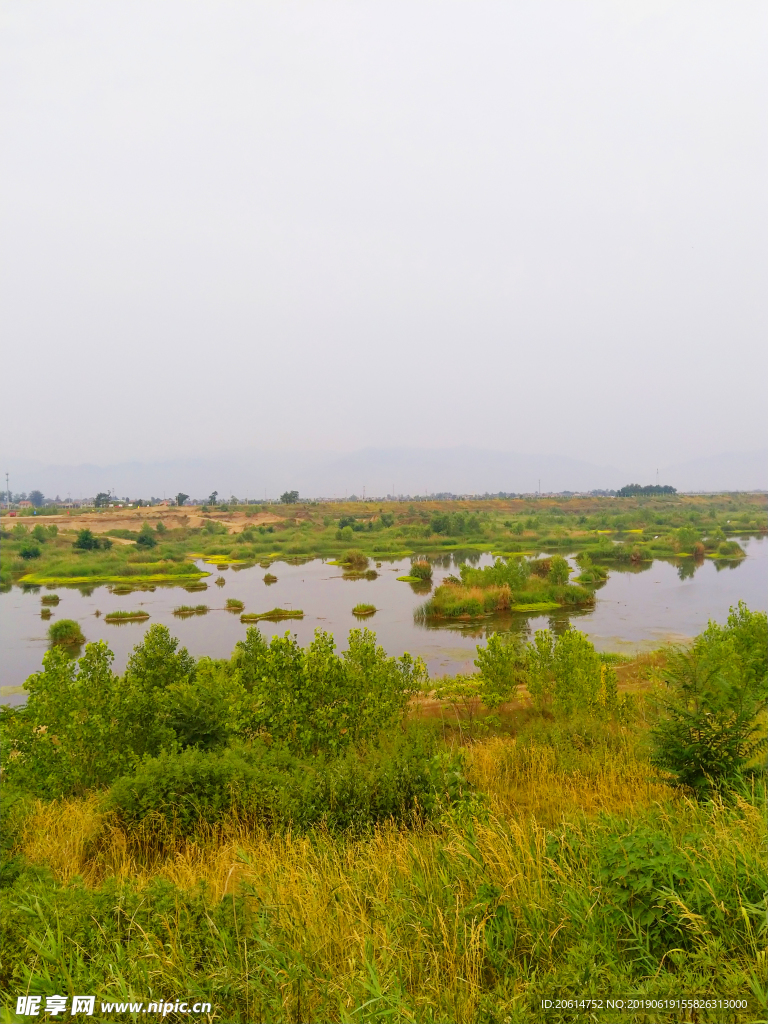 美丽的河道风景