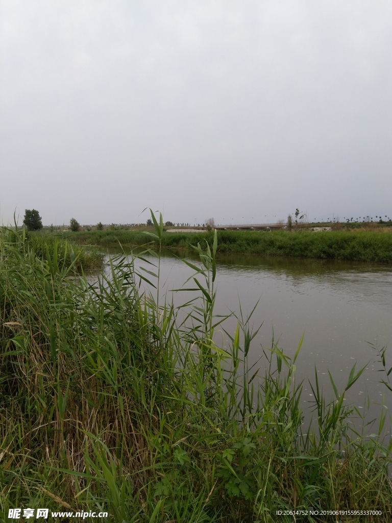 美丽的河道风景