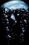 水泡