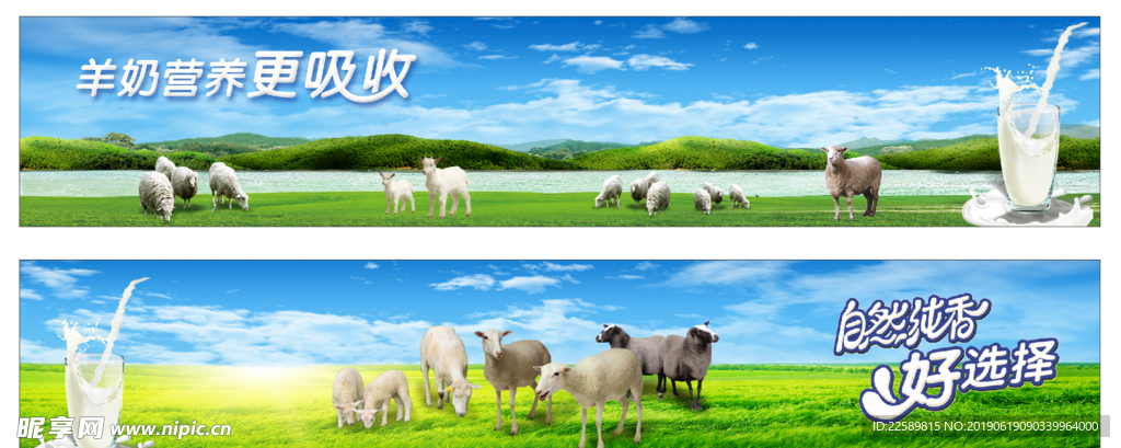 羊奶海报
