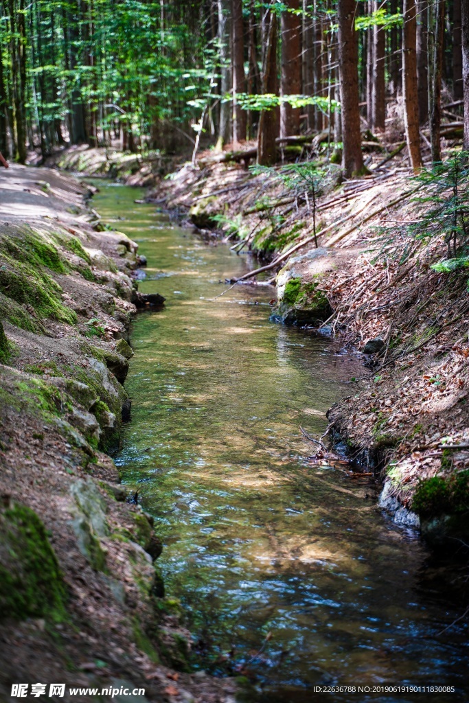 风景图片唯美图片风景画桌面壁纸