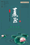 夏至海报