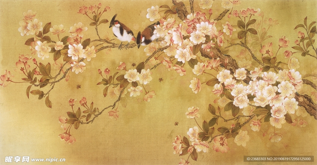花鸟绘画素材