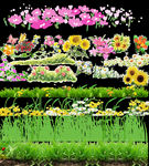 花草素材