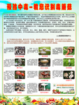 教您识别毒蘑菇
