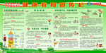 国家基本公共卫生服务健康宣传栏