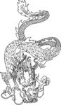 龙