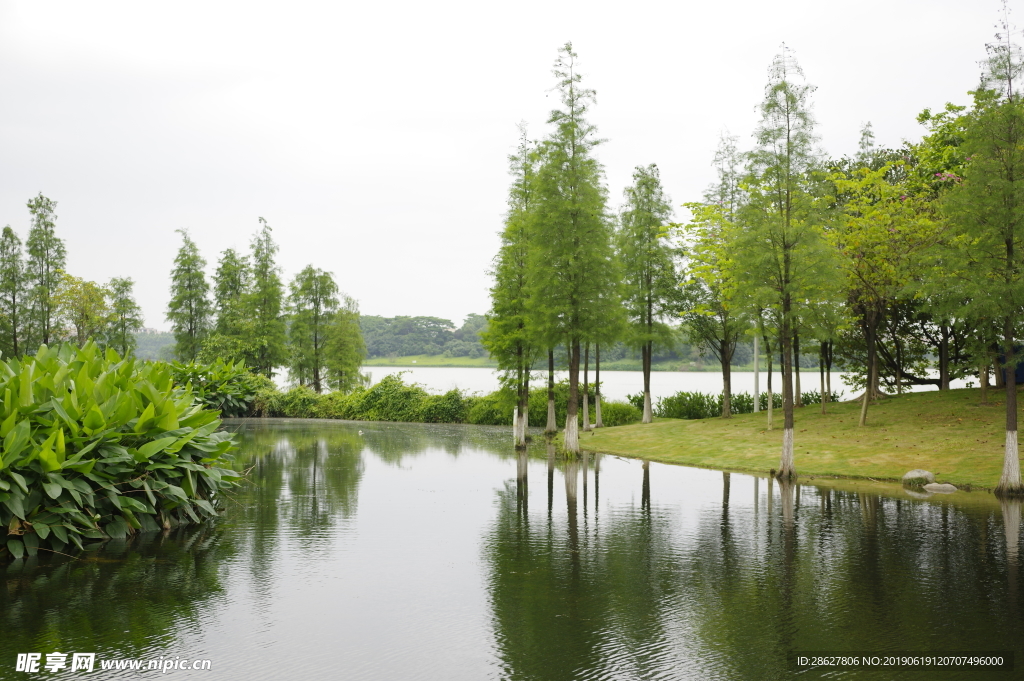 山水
