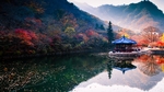 公园