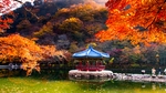 景色