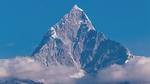 山