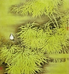 插画国画