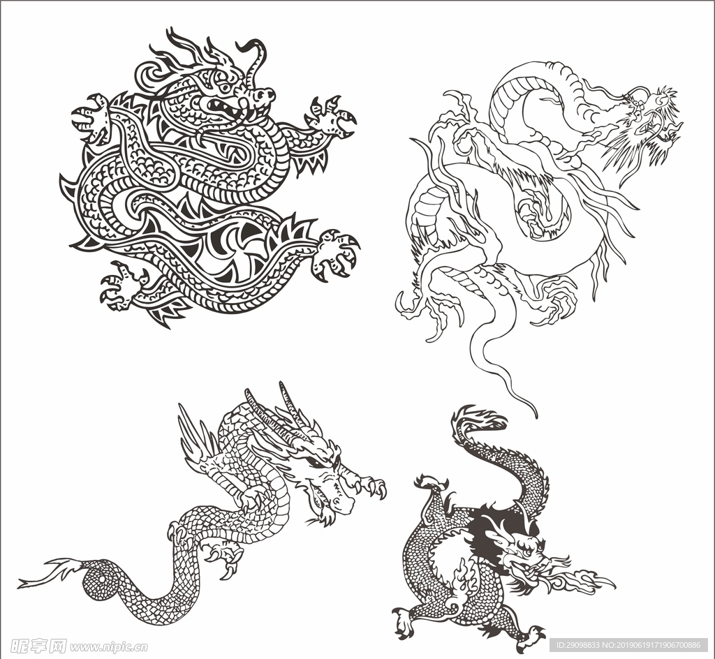 龙