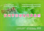 绿色背景