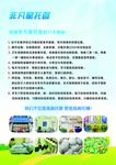 培训 招生 开课了 托管 非凡