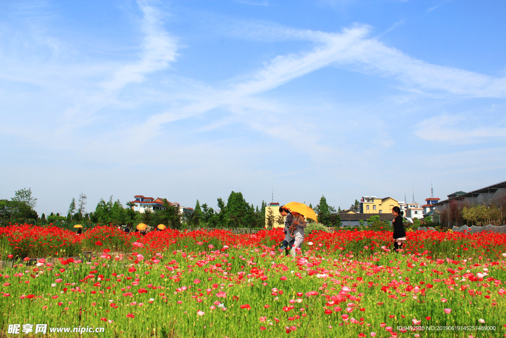 风景素材