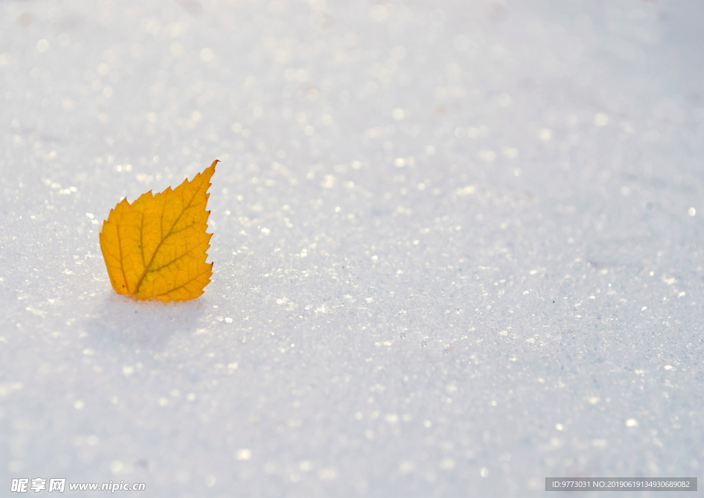 雪地