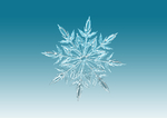 雪花
