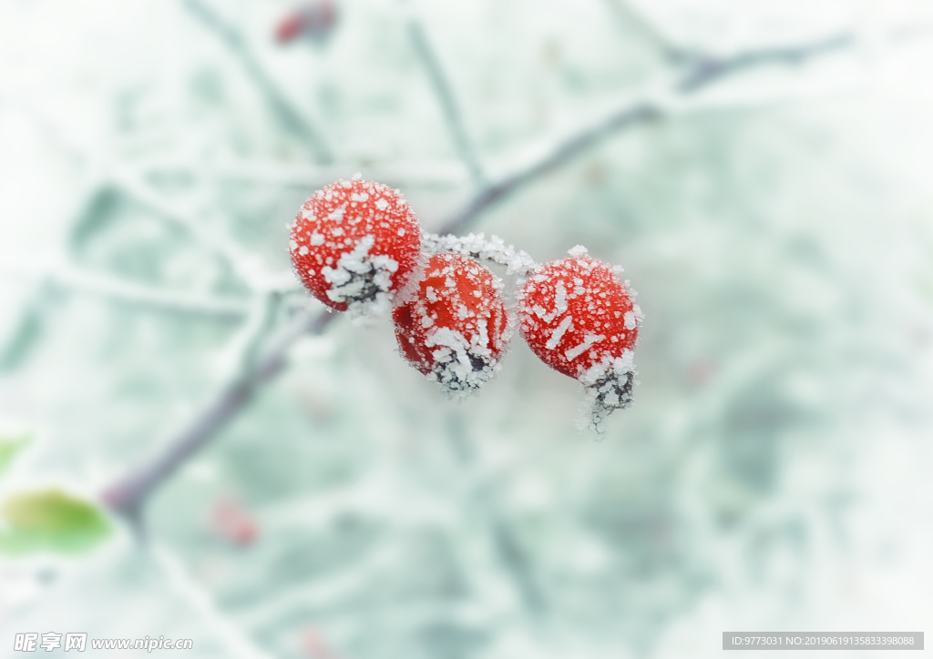 雪景