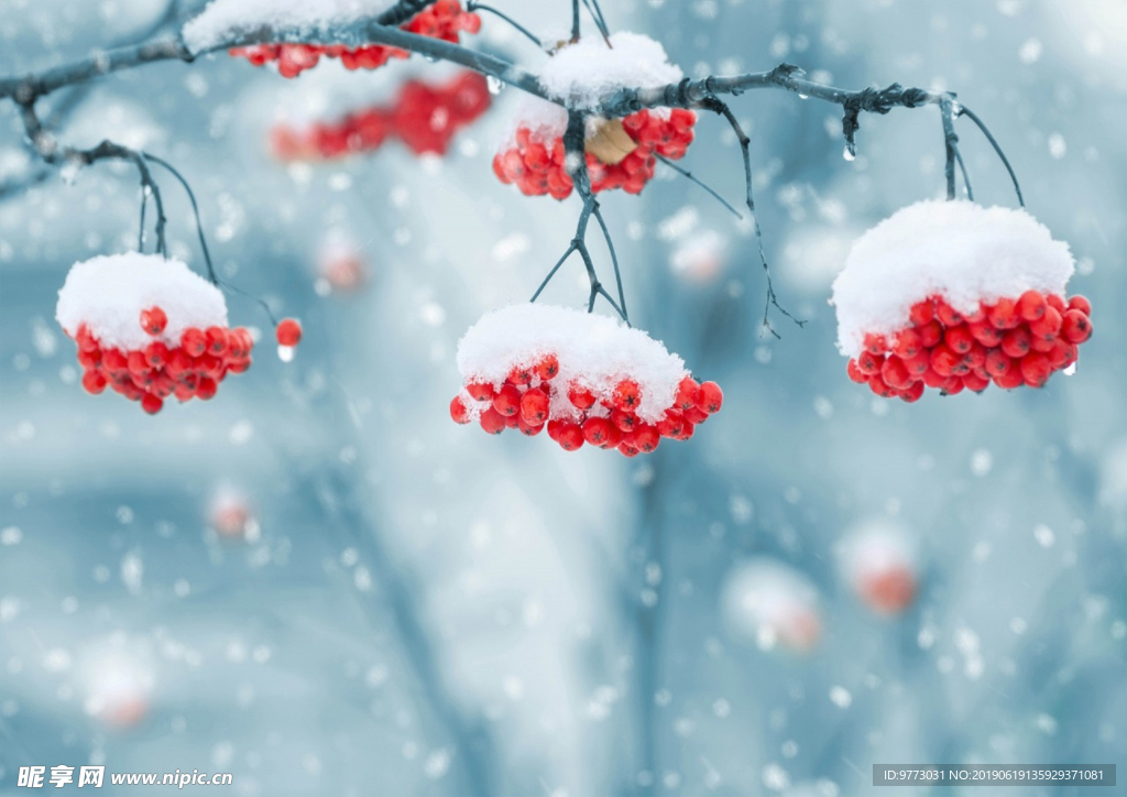 雪景