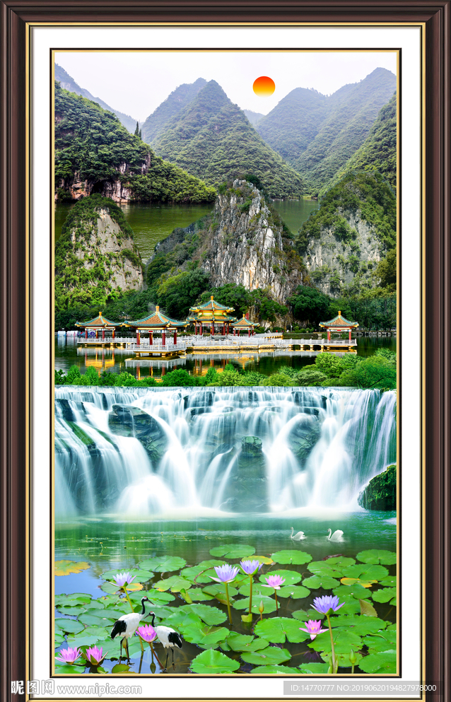 荷花风景