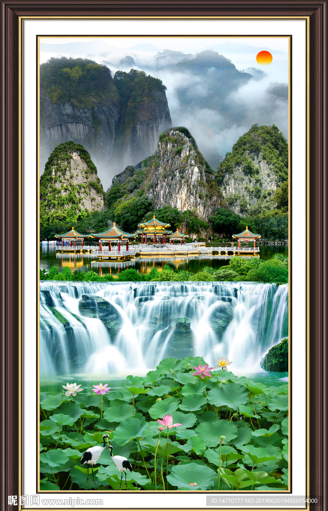 荷花风景